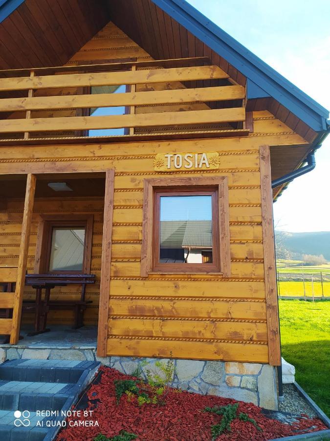 Zajazd ,,Rys" Dobra  Bagian luar foto